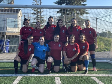 Fc toxicas
